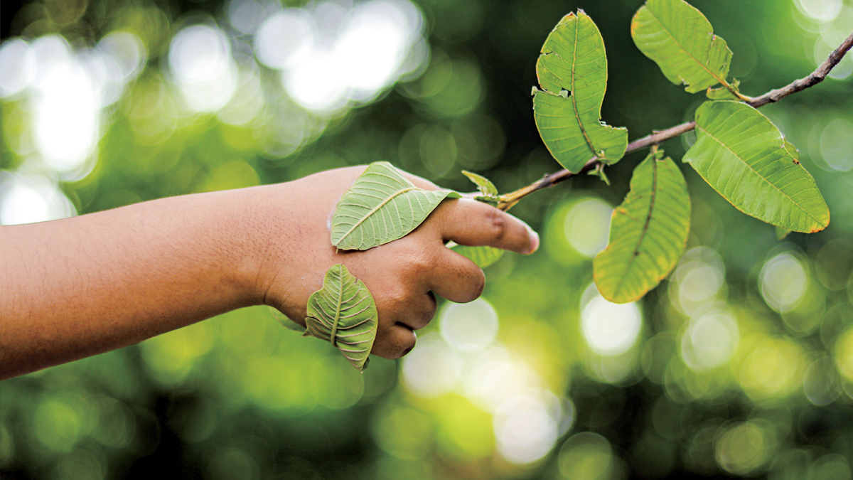 Sustainability & Eco